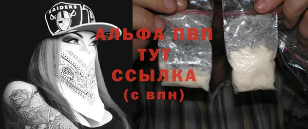 ГАЛЛЮЦИНОГЕННЫЕ ГРИБЫ Богданович