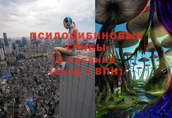 apvp Бронницы