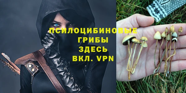 марихуана Богородицк