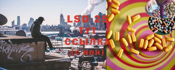 ГАЛЛЮЦИНОГЕННЫЕ ГРИБЫ Богданович