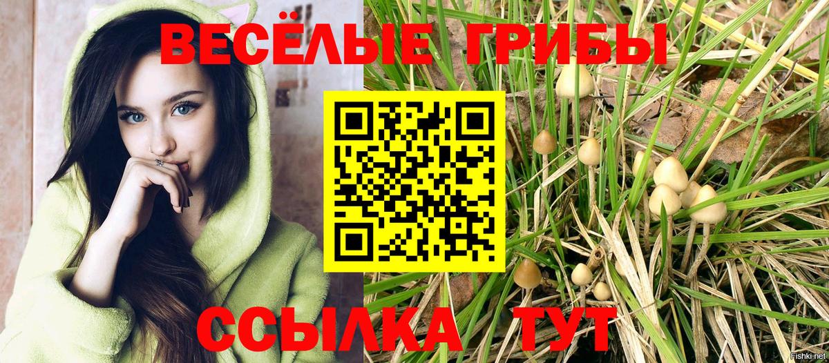 Псилоцибиновые грибы мухоморы  Вход с VPN  Обь  Галлюциногенные грибы GOLDEN TEACHER 