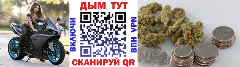 дарк нет какой сайт  Обь  МАРИХУАНА White Widow 
